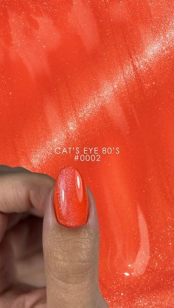 Гель лак магнитный DNKa&rsquo; Color Gel Polish Cat's Eye #0002 80's на 12 мл - для маникюра и педикюра 002306 фото