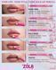 Матовий олівець для губ Zola Lip Pencil №2 - Natural 002972 фото 5