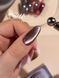 Гель-лак магнітний DNKa' Color Gel Polish Cat's Eye Silk #0035 на 12 мл &mdash; для манікюру та педикюру 003113 фото 4