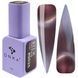 Гель-лак магнітний DNKa' Color Gel Polish Cat's Eye Silk #0035 на 12 мл &mdash; для манікюру та педикюру 003113 фото 1