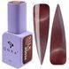 Гель-лак магнітний DNKa' Color Gel Polish Cat's Eye Silk #0036 на 12 мл &mdash; для манікюру та педикюру 003114 фото 1