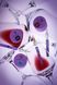 Топове покриття DNKa' Top Wine Black з фігурними конфеті на 15 мл, без липкого шару 002116 фото 5