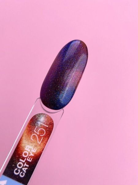 Сетоотражающий гель-лак LunaMoon Color Cat Eye 13 мл для маникюра и педикюра №251 002529 фото
