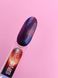 Сетоотражающий гель-лак LunaMoon Color Cat Eye 13 мл для маникюра и педикюра №251 002529 фото 3