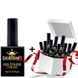 Набор гель-лаков 10+1 для покрытия ногтей Designer Professional, 9 мл 006500 фото 1